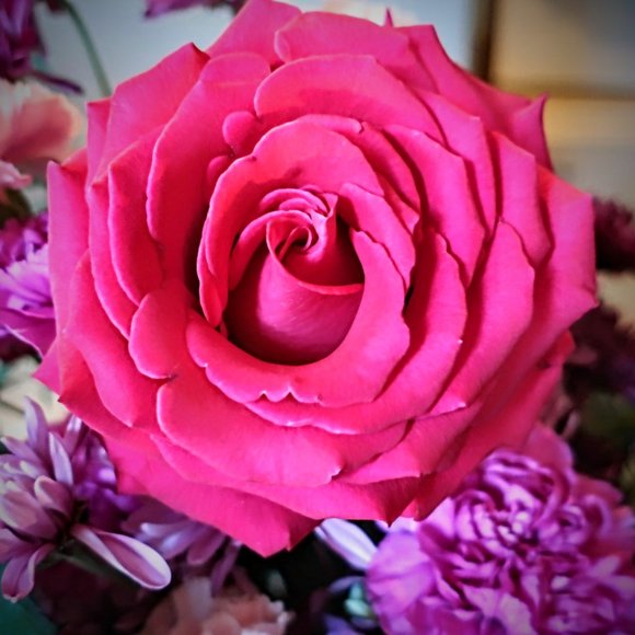 Meet your Posher, Sarah - Picture 6 of 9